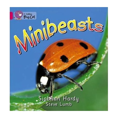 Minibeasts : Band 01a/Pink a