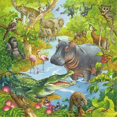 Ravensburger 051809 Zvířata v džungli 3x49 dielov