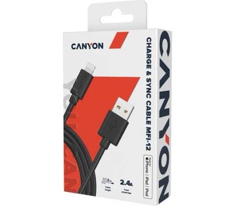 Canyon MFI-12 2m