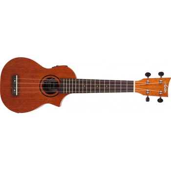 Ashton UKE 220EQ
