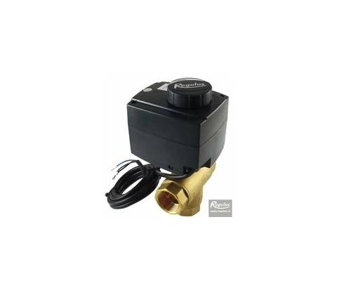 Regulus 20613