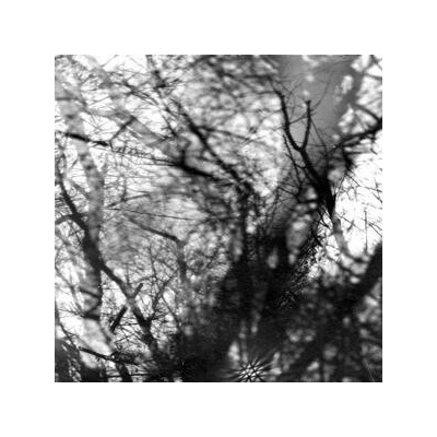 Grouper - Way Their Crept LP