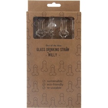 Set sklenených slamiek Glass Drinking Straw Willy