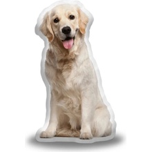 Sablio 3D vankúš Zlatý retriever 33x50