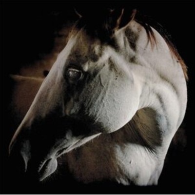 How to Kill a Horse - Brother Dege CD