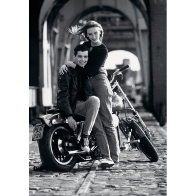 Dino Zamilovaní 500 dílků