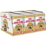 Royal Canin Maine Coon Loaf консерви с пастет за маine coon котки, 36 x 85 г