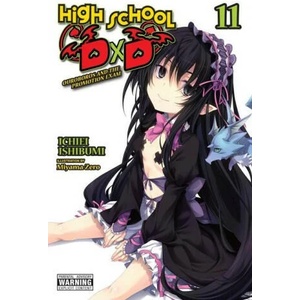 High School DxD, Vol. 11 (ISBN: 9781975348168)