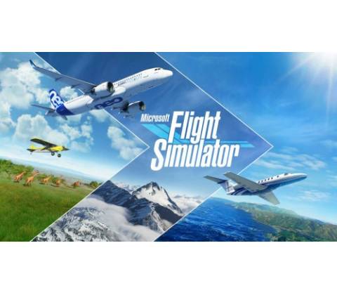 Flight Simulator 2020