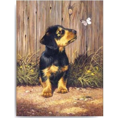 Royal Langnickel Malování podle čísel 22x30 cm- Pejsek s motýlkem