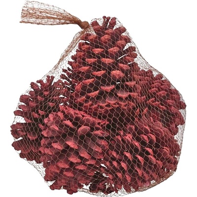 Euro Habitat Velké šišky k dekorování přírodní, pytel 10 cm Bílá – Zboží Dáma