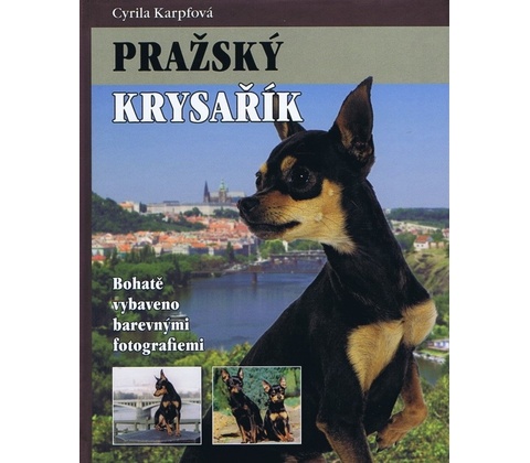 Pražský krysařík