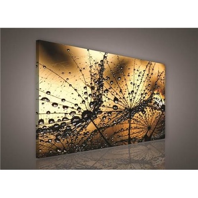 Obraz na plátne, rozmer 100 x 75 cm, rosa, IMPOL TRADE PP415O1