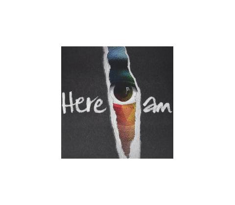 GROUNDATION: HERE I AM LP