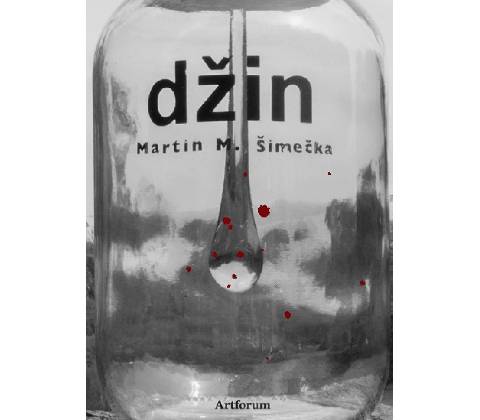 Džin