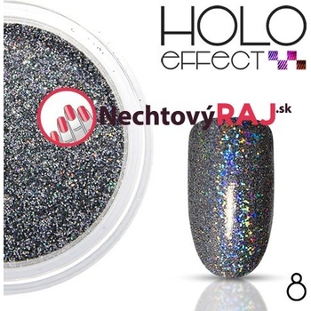 Hit Holografický prášok 08