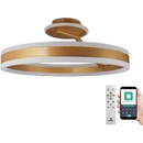 NEDES ND3907