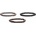 Nefertitis NF47411