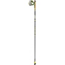 Leki Smart Pacemaker