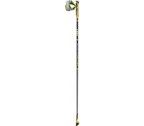 Leki Smart Pacemaker