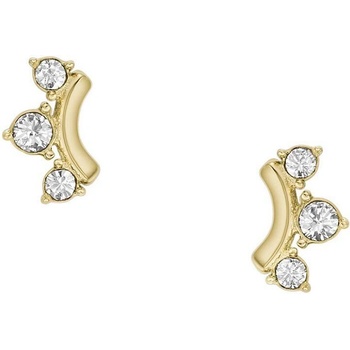 Fossil náušnice JF04596710