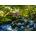ROOVI - Puzzle Watermill - 1 000 piese