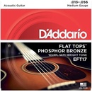D'addario EFT17