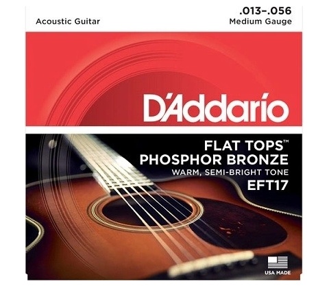 D'addario EFT17