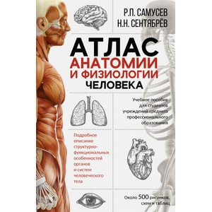 Атлас анатомии и физиологии человека. Учебное пособие для студентов учреждений среднего профессионального образования | Рудольф Самусев, Николай Сентябрев, Рудольф Самусев, Николай Сентябрев (2020)