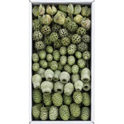 SORTIMENT ON WIRE FROSTED LIME TRAY ( 100 PC )