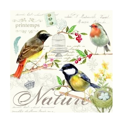 Easy Life Papírový ubrousek Les Oiseaux 33x33xcm 20ks