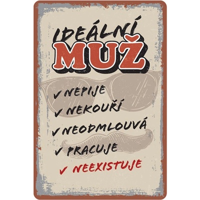 Nekupto Plechová cedule 20x30cm - Ideální muž