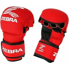 Zebra MMA Sparing