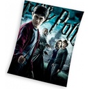 Carbotex Flísová deka HARRY POTTER
