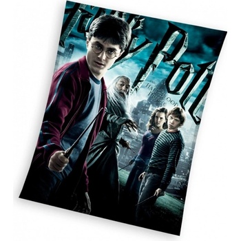 Carbotex Flísová deka HARRY POTTER