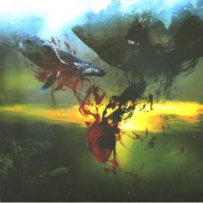 And We Wept the Black Ocean Within - A Storm Of Light CD