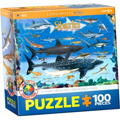 EuroGraphics Requins 100 dílků