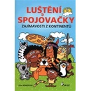 Povolání režisér