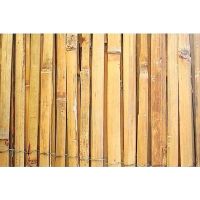 Plot Bambus 150 cm/5 m – Zbozi.Blesk.cz