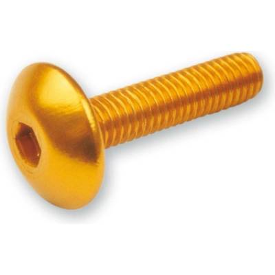 V PARTS (VICMA) sada šroubů do kapotáže M5X20 (6kusů) barva stříbrná (TA520PL)