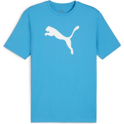 PUMA Тениска Puma teamRISE Logo Jersey Cotton 658705-02 Размер S