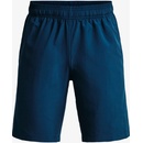 Under Armour UA Woven Graphic shorts BLU