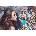 Heye - Puzzle Connected destiny - 1 000 piese