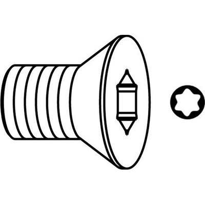 Igm Šroub - Typ:12 M4x6 D9 Torx 15 F099-14000