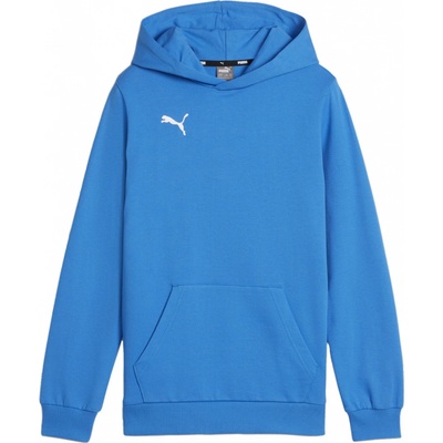 Puma teamGOAL Casuals Hoody Kids 658619-02