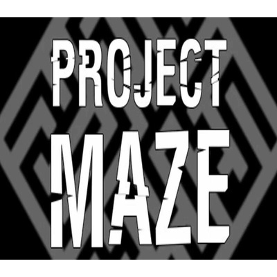 PROJECT MAZE