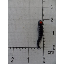 Carp ´R´ Us Červ MouthSnagger Shorty Color Černá 8ks