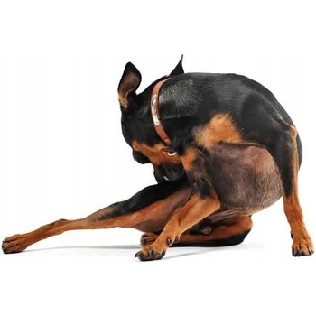 Royal Canin Dog anallergenic 1,5 kg