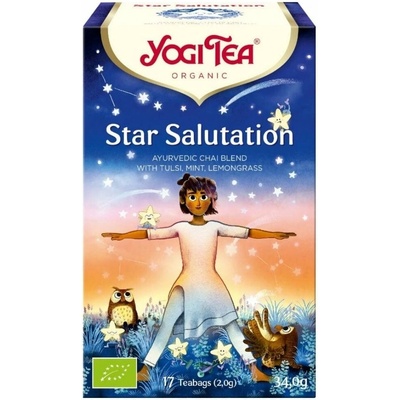 Yogi Tea Bio Pozdrav hvězdám 17 x 1,9 g