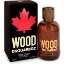 Parfémy Dsquared2 Wood toaletní voda pánská 100 ml